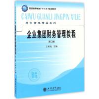 企业集团财务管理教程(第二版)(王明虎)