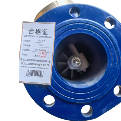 硕臻 复式水表 LXF-DN150E 个