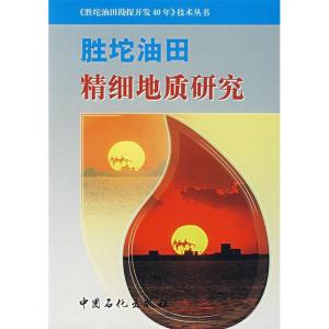正版新书]胜坨油田精细地质研究孙梦茹9787801644992