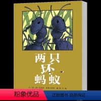 [正版]启发精选国际名作绘本两只坏蚂蚁 儿童精装绘本阅读故事书3-6-9周岁 幼儿园绘本非注音版一年级故事书亲子共读