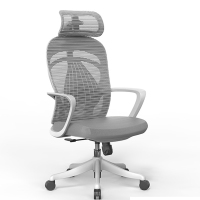 初嘉(CJ)BGY-19人体工学椅电脑椅撑腰办公椅家用老板椅电竞椅靠背转椅座椅