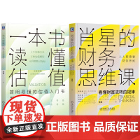 套装 肖星系列(共两册) 肖星 喜马拉雅 财务 会计 财报 财务报表 财务分析 投资 理财 财富 金融 陈志武 香帅