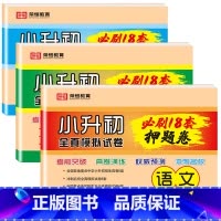 [全3册]小升初押题卷 语文+数学+英语 小学升初中 [正版]2024新小升初真题卷六年级下册试卷测试卷语文数学英语18