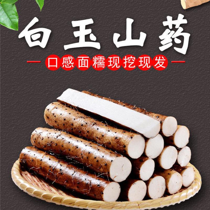 赛卡伊 山药新鲜粗大白玉山药日本白脆山药山药段药新鲜蔬菜长水山药