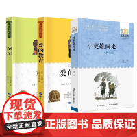 小英雄雨来+爱的教育+童年 共3册