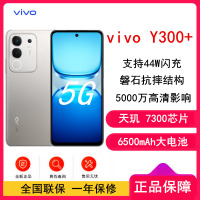 [全新]vivo Y300+ 钛色 12GB+256GB 天玑7300 5G芯 6500mAh电池 44W充电 5000万高清影像 5G 手机