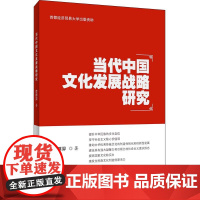 当代中国文化发展战略研究