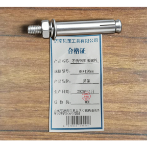 贝策 M8不锈钢膨胀螺栓 个
