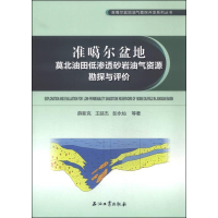 正版新书]准噶尔盆地莫北油田低渗透砂岩油气资源勘探与评价薛新