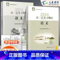 [第14版]语文 总复习指导+测试(2册) 北京高三总复习 [正版]2025新版北京高三总复习指导测试上下册高考总复习语