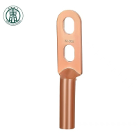 兴京阳 双孔铜接线端子 DT-95S 个