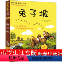 兔子坡 注音版 [正版]兔子坡注音版二年级三年级一年级书籍小学生必读课外书新蕾出版社罗伯特罗素的故事绘本一二世界儿童文学