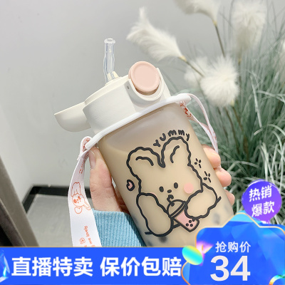 精品特卖-水杯女网红带吸管式玻璃杯2021新款潮便携可爱少女心ins风杯子菲丽荣