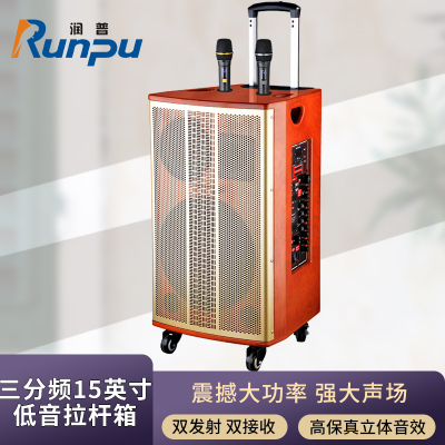 润普Runpu会议音频扩声 三分频15英寸低音卡拉OK户外演出活动野外作训带话筒拉杆音箱RP-S-LGP15F