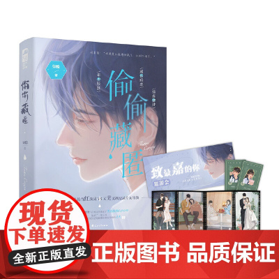 偷偷藏匿 知稔 花山文艺出版社 正版书籍