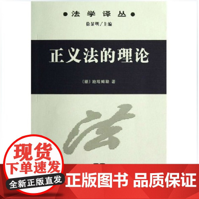 正版 正义法的理论/法学译丛 (德)施塔姆勒
