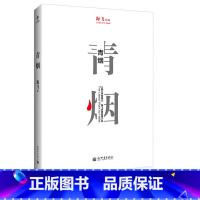 [正版]书籍青烟著名作家编剧海飞短篇小说合集从高远处观察生活用平淡的句式和洞悉世事的描述诠释了生活的绝望与希望真实的人