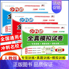 3册[语文+数学+英语]小升初模拟试卷(含真题) 小学升初中 [正版]2024年小升初模拟试卷真题卷必刷题人教版语文数学