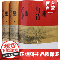 中国文学鉴赏辞典 唐诗鉴赏辞典新一版(精装版) +宋词鉴赏辞典上下两册 共三册 中国古诗词读唐诗 正版图书籍 长安三万里