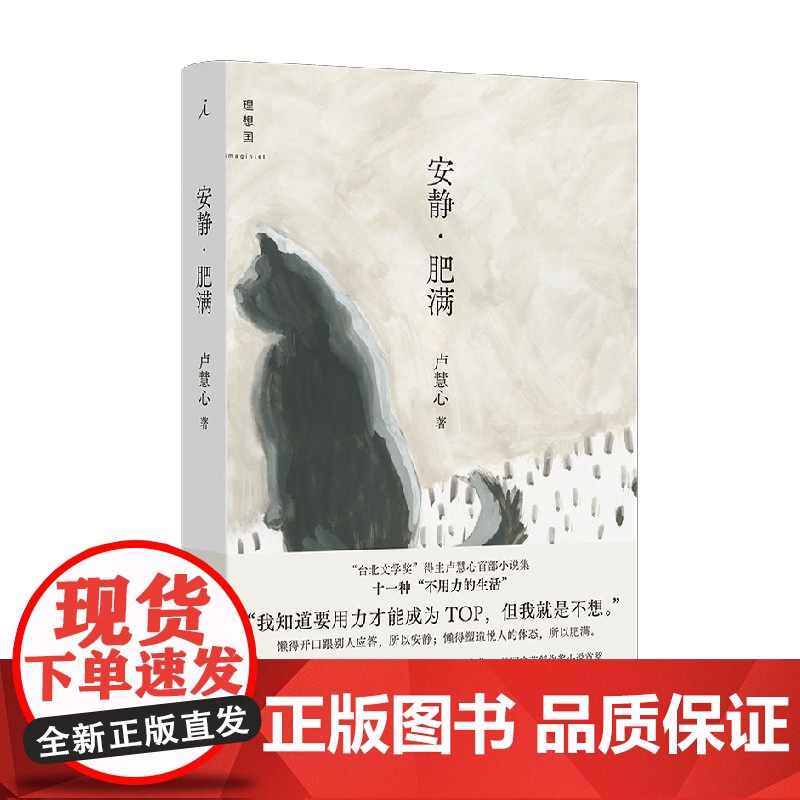 安静 肥满 卢慧心 著 小说