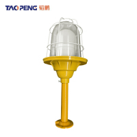 韬鹏 防爆灯 灯泡 250型-100W 个