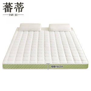 蕃蒂床垫100*200cm张