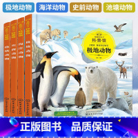 童眼识天下科普馆 全4册 [正版]童眼识天下科普馆.极地动物+海洋动物+池塘动物+史前动物 全4册 科学启蒙 孩子贴心科