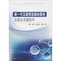 新一代互联网流媒体服务及路由关键技术