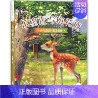 小壁虎与梅花鹿 [正版]任选小豆子彩书坊少儿童话科普注音版小蝌蚪找妈妈蚂蚁搬家小猴子种葡萄向日葵你为什么低着头小天牛学本