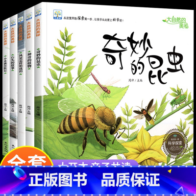 大自然的奥秘 科普绘本5册[无注音] [正版]大自然的奥秘 幼儿园科学启蒙绘本小中班阅读4一5岁幼儿绘本3–6岁儿童科普