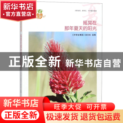 正版 摇晃在那年夏天的阳光/我的青春我的梦全国中学生校园美文精