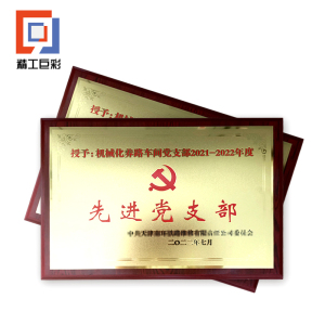 精工巨彩 砂金工艺奖牌 40*60cm