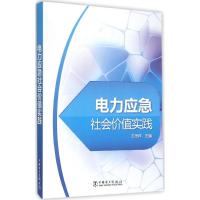正版新书]电力应急社会价值实践王抒祥9787512384989