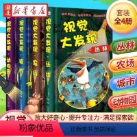 [全4册]视觉大发现 [正版]全套4册视觉大发现 小手电大探秘系列 寻找隐藏的图画3-6-8-12岁儿童找不同捉迷藏城市