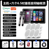 先科(SAST)智能AI家庭吸顶音响套装家用客厅无线蓝牙吊顶 智能K歌主机+6个6.5英寸重低音同轴吸顶音响