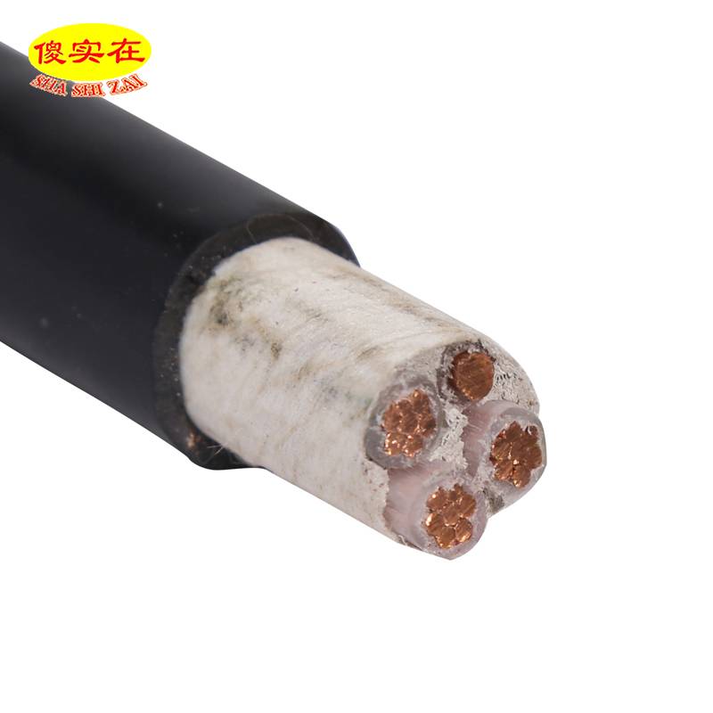 傻实在 电缆 国标全项保检 ZC-YJV 3*10+1*6 米