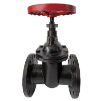 冰城同祥 铸铁闸阀 Z45T-16 DN65 台