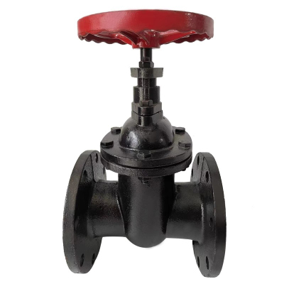 冰城同祥 铸铁闸阀 Z45T-16 DN65 台