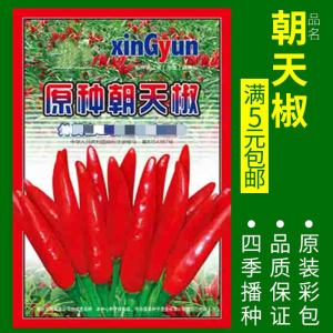 [补贴10%]蔬菜种子四季播盆栽阳台庭院辣椒番茄甜瓜黄瓜简单秋易种籽孑大全