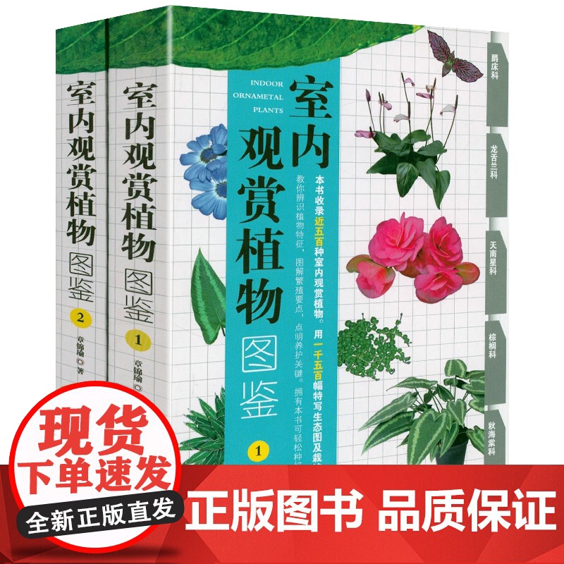 书 全2册]室内观赏植物图鉴1+2 收录近1000种室内观赏植物图鉴百科 辨识植物图片手绘插图 养花室内栽植户外绿化景观