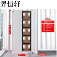 昇恒轩 铁门对开(内四块隔板)文件柜更衣储物铁柜柜子 SHX-0422 个(钢板厚度 0.8mm )