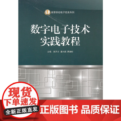(BB)数字电子技术实践教程(高校电子信息)