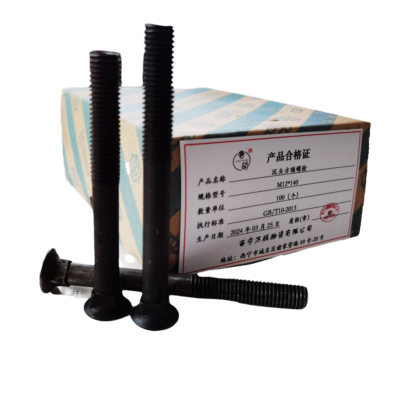 奢萌 沉头方颈螺栓 M12*140 个