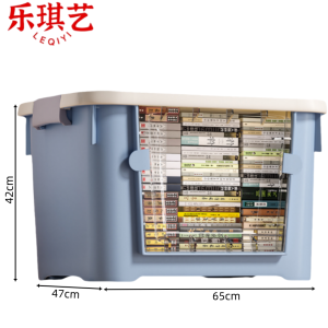 乐琪艺