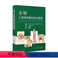 [正版]奈特人体神经解剖彩色图谱