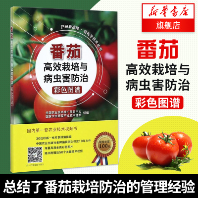 正版番茄高效栽培与病虫害防治彩色图谱轻松学技术丛书农业技术推广服务中心大宗蔬菜产业技术体系种植农业书中国农业