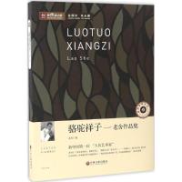 正版新书]老舍作品集老舍9787505995031