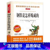 钢铁是怎样炼成的 [正版]钢铁是怎样炼成的 无障碍精读原著 初中小学生八年级下册人教版课外阅读书籍 七年级初二学生版必读
