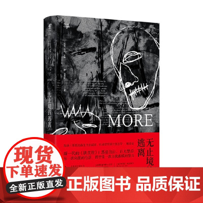 无止境的逃离 哈坎·甘迪 著 小说