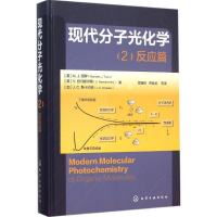音像现代分子光化学